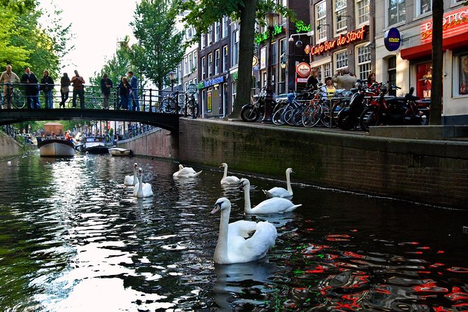 3 Hour Amsterdam Private Guide Walking Tour With an Amsterdam Born Raised Guide - Background