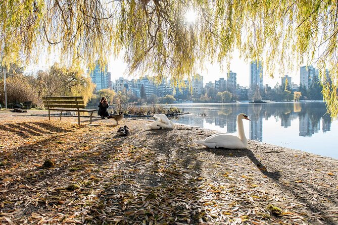 3-Hour Bike Tour - Stanley Park & the World-Famous Seawall - Pricing and Tour Provider Details