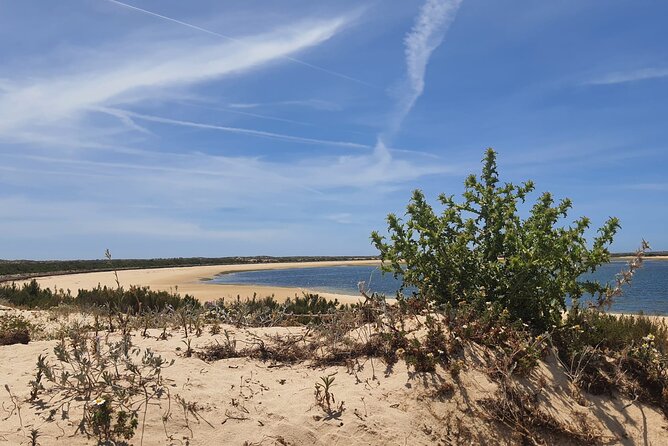 3 Hour Boat Tour in Ria Formosa - Common Questions