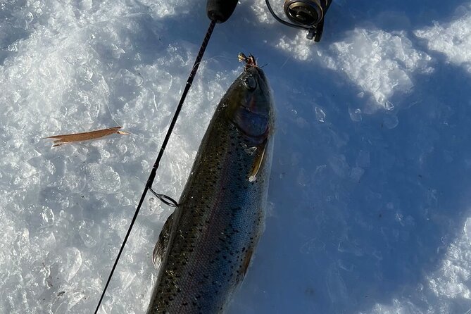 3 Hour Ice Fishing Experience - The Sum Up