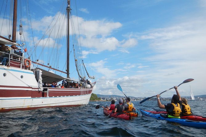3- Hour Kayak Tour on the Oslofjord - Health and Safety Procedures