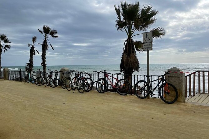 3-Hour Private Guided Bicycle Tour in Marbella - Experience and Exploration