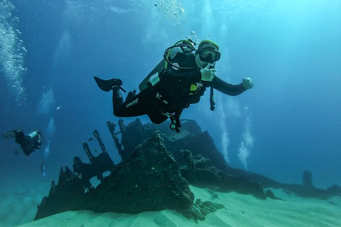 3-Hour Private Underwater Photo Session - Customer Testimonials