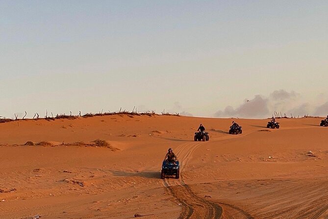 3 Hours Quad Trip in Essaouira Discover the Cave and the Biggest Dunes - Customer Reviews and Ratings