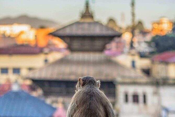 3 Hours Walking Tour at PashupatiNath and BoudhaNath - Directions and Route
