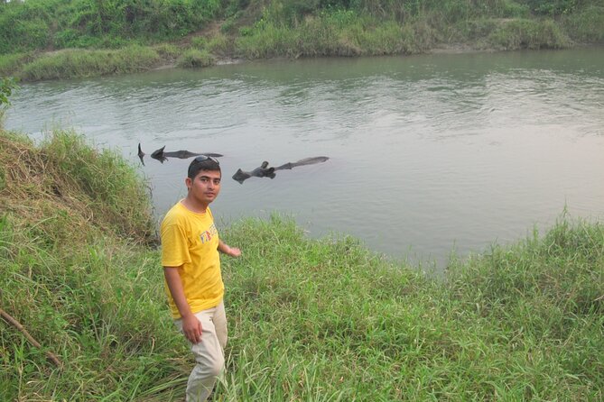 3 Nights 4 Days Chitwan National Park With Tower Night Stay - Pricing
