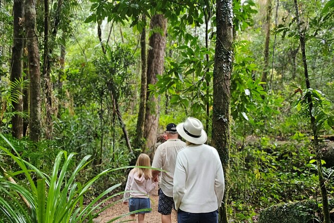 3B Daintree Rainforest, Mossman Gorge, Crocodile Wildlife Cruise - Tips for a Memorable Rainforest Adventure