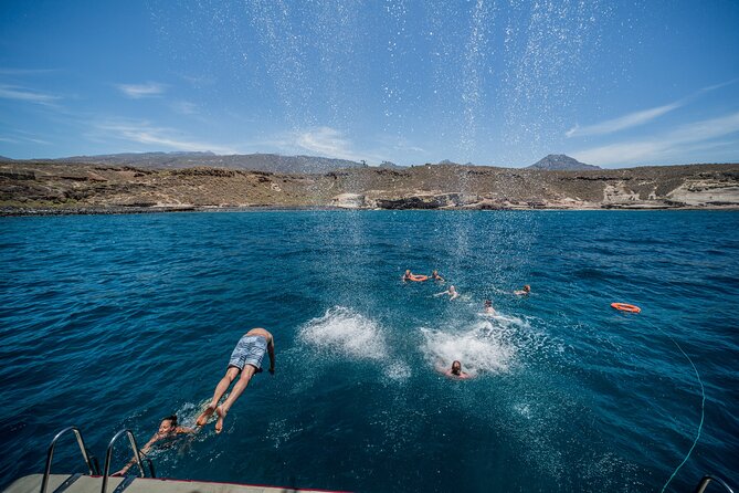 3H Catamaran Dolphin & Whale Watching! Drinks, Swimming & Lunch - Directions