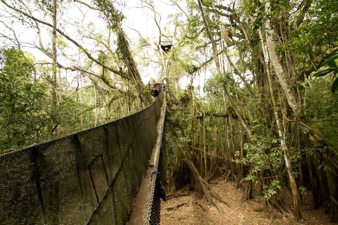 4-Day Amazon Eco-Lodge Tour From Puerto Maldonado - Common Questions