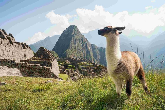 4 Day : Cusco Machupicchu Rainbow Mountain City Tour - Good To Know