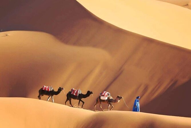 4 Day Sahara Desert Trip From Marrakech: Marrakesh - Sahara Desert - Marrakesh - Day 4: Return to Marrakech