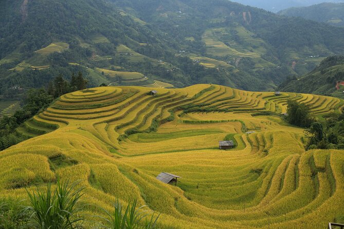 4-Day Tour in Ha Giang Loop With Professional Guide - The Sum Up