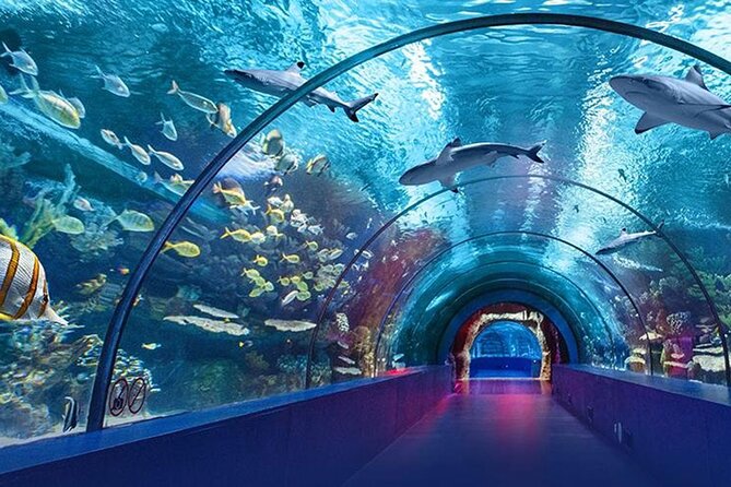4-Hour Guided Antalya Aquarium Tour - Cancellation Policy and Weather Conditions