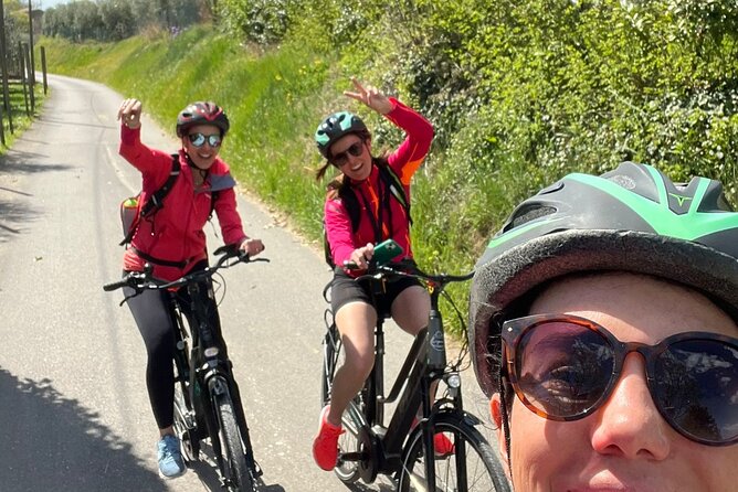 4-Hour Guided E-bike Tour of the Two Wineries in Bardolino - Wine Tasting and Vineyard Tour