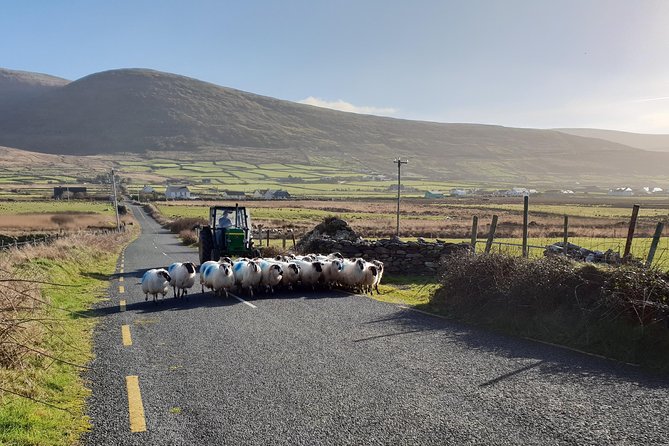 4 Hour Slea Head Drive Tour - Personal Chauffeur Guided Tour - Common Questions