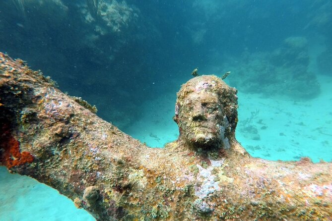 4-Hour Snorkel Cruise to Underwater Sculptures With Boat Dogs - Common Questions