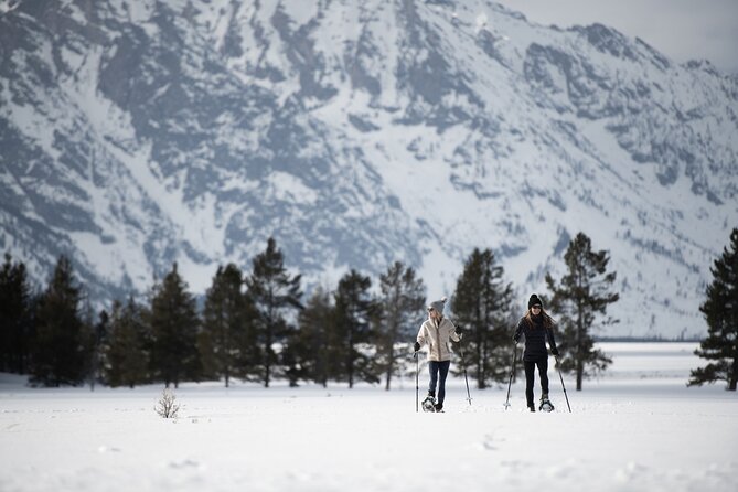 4 Hour Snowshoe in Grand Teton National Park - Common Questions