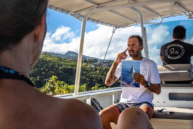4 Hours of Humpback Whale Watching in Tahiti - The Experience of Humpback Whale Watching