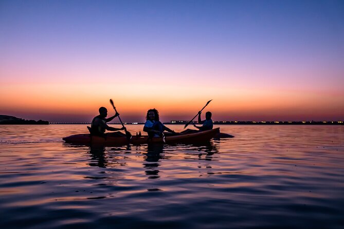 4 Hours Purple Island Mangroves Kayaking Adventure in Qatar - The Sum Up