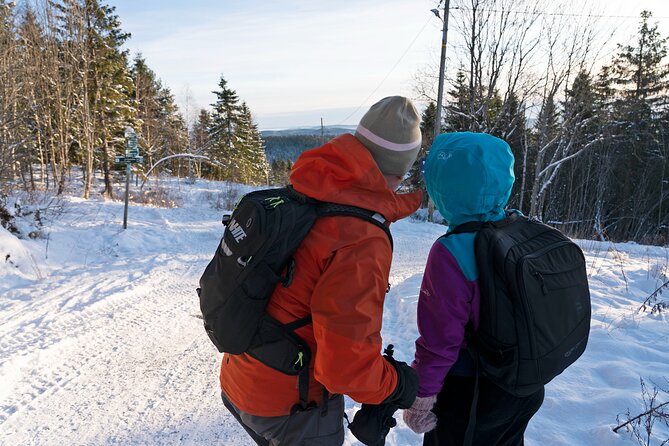 4 Hours Winter View of the Oslofjord Walk Tour - Booking and Pricing Information for the Tour