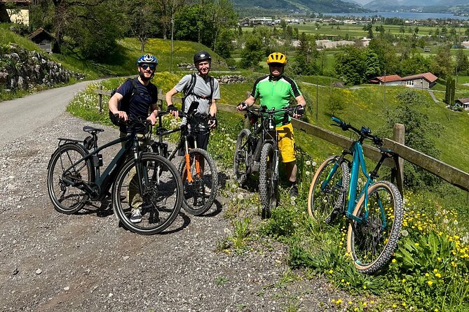 4 Lakes E-Bike Guided Tour and Lake Cruise - Additional Information
