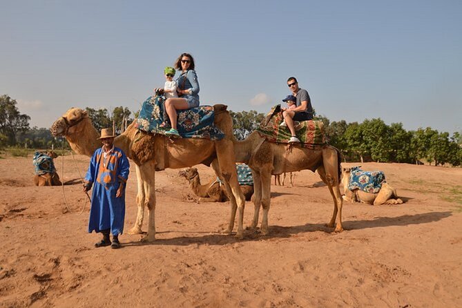 44 Jeep Desert Safari Tour With Lunch and Camel Ride - Reviews by Viator Travelers