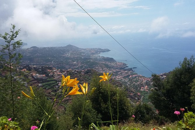 4x4 Safari Half Day Poncha, Mountains, Vineyards and Cabo Girão Small Group - Cancellation Policy