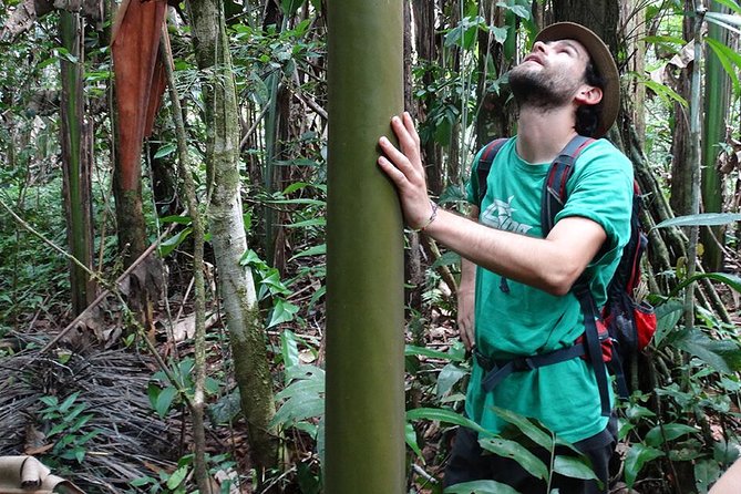 5-Day Manu Jungle All-Inclusive Small-Group Wildlife Tour  - Cusco - The Sum Up