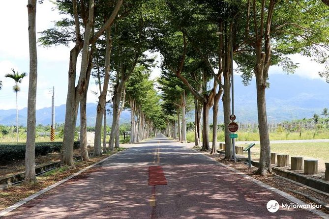5-day Premium Taiwan Eastern Beauty Private Tour - Tour Details and Additional Information
