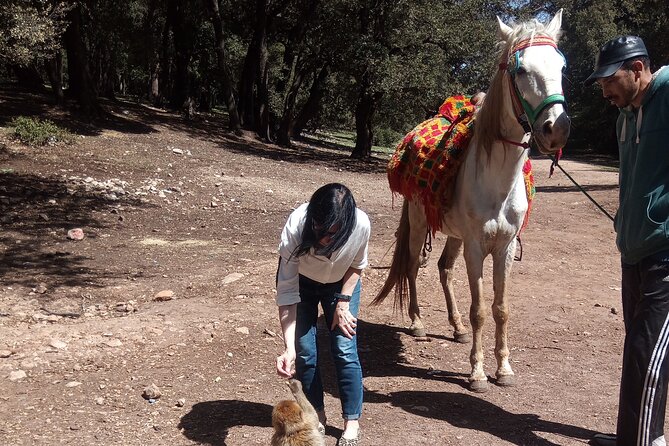 5 Days Private Tour From Casablanca to Fes and Sahara Desert - Questions and Product Information