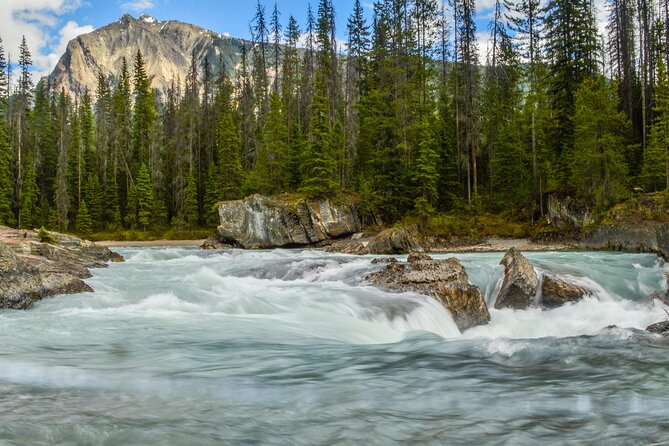 5 Days Rockies Camping & Wildlife Photography - Common Questions