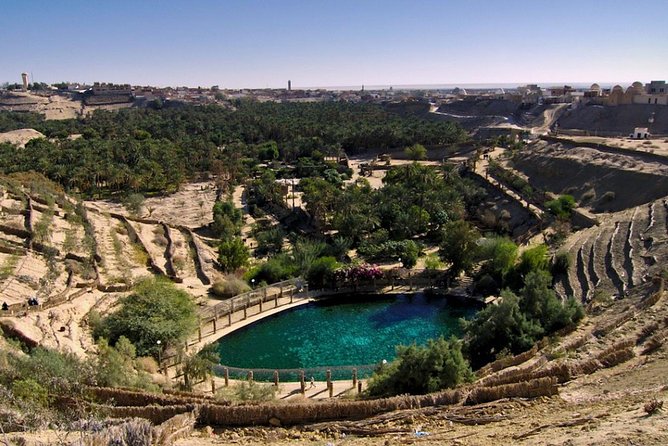 5 Days Tunisia Discovery Private Tour - Booking and Pricing Information
