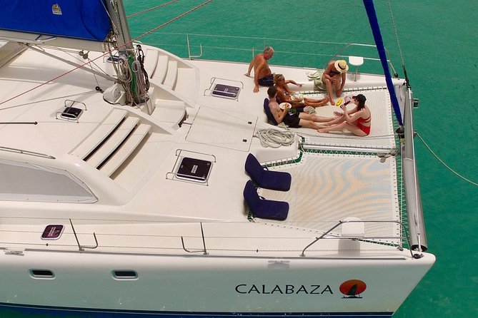 5-Hour Small-Group Catamaran Cruise From Bridgetown With Lunch - Snorkeling With Sea Turtles