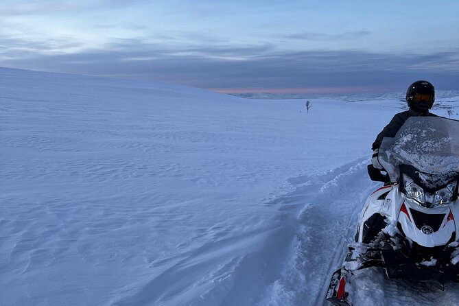 5-Hour Snowmobile Safari on the Arctic Tundra. Have Fun & Explore! - Common Questions