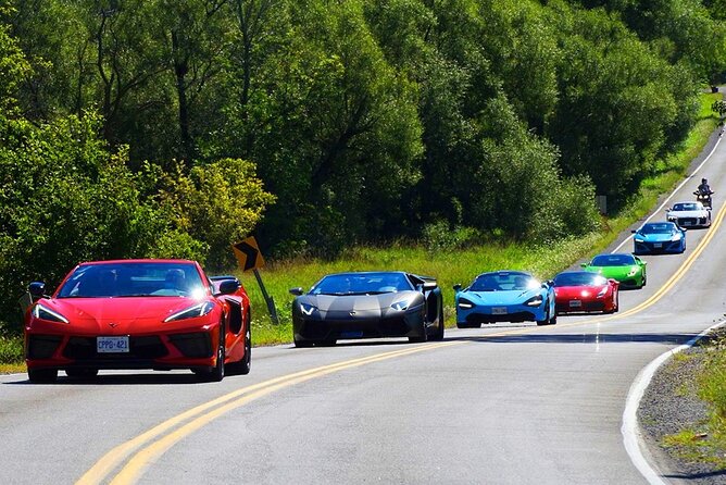 6 Hour Exotic Car Tour Driving 6 Super Cars Lunch - Reviews