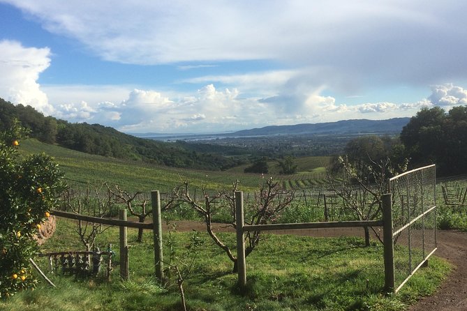 8-Hour Private Wine Tour Experience for up to 6 Guests - San Francisco to Sonoma - The Sum Up