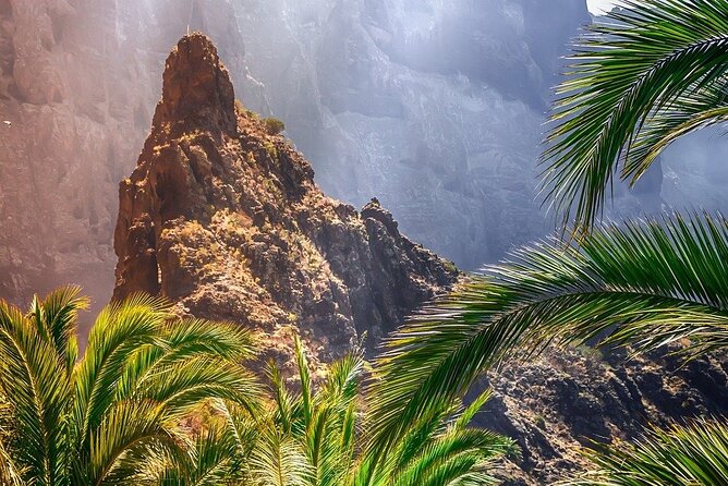 8-Hour Rental in a Luxury Car and Driver/Official Private Guide in Tenerife - The Sum Up