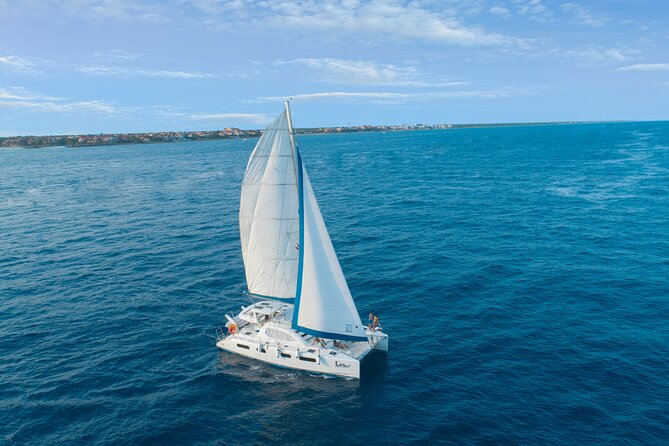 A Half-Day Riviera Maya Catamaran Tour, With Lunch  - Playa Del Carmen - Marine Life and Activities
