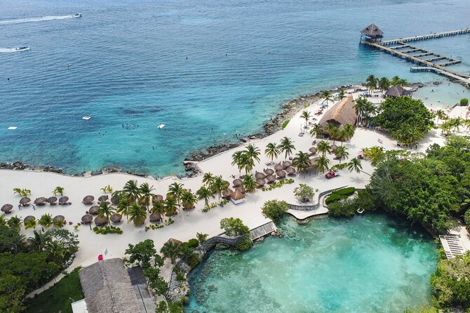 A Snorkeling Adventure in a Glass-Bottom Boat at Cozumels Reef. - Stellar Reviews and Ratings