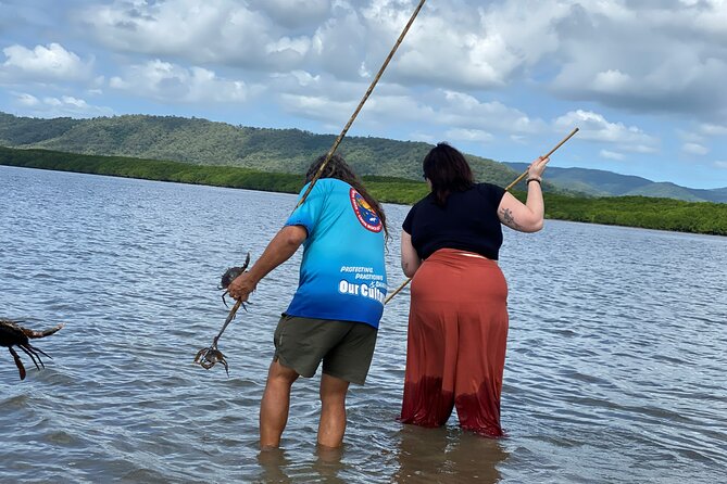 Aboriginal Fishing & Beach Day Tour Daintree Crocodile Cruise - Pricing and Booking Information
