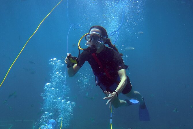 Adventure SNUBA in St. Maarten - Common Questions