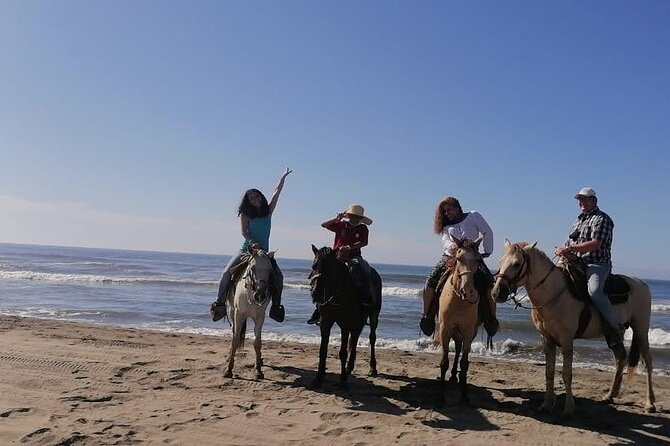 AfroMex Village Beach Horseback Baby Turtle Release & Crocs Farm - Common Questions