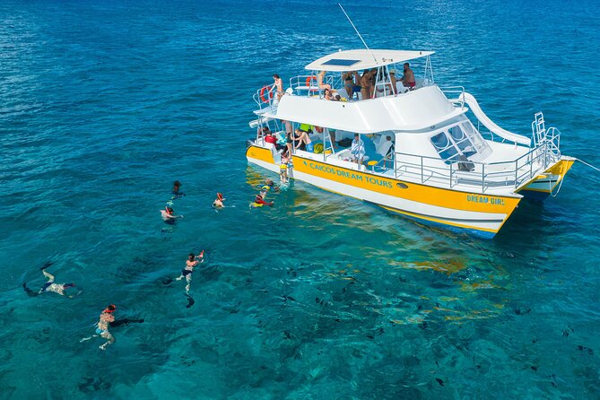 Afternoon Half Day Cruise From Providenciales With Snorkeling and Iguana Island - Exploring Iguana Island