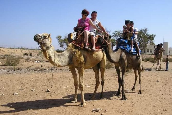 Agadir Camel Riding Sunset and Dinner( Barbecue) - The Sum Up
