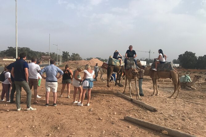Agadir Camel Riding - Convenient Transfers and Pickup
