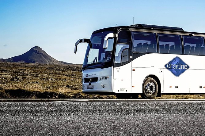 Airport Express Shared Arrival Transfer From Keflavik Airport to Reykjavik Hotels - The Sum Up