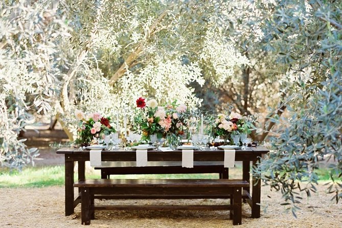 Al Fresco Lunch and Wine Tasting Under the Olive Trees  - Montepulciano - Optional Wellness Experience