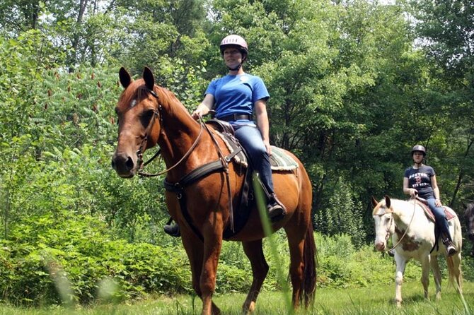 Alanya Horse Riding Experience With Free Hotel Transfer - Importance of Minimum Traveler Numbers