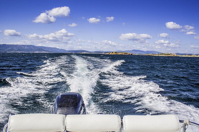 Albariño Private Wine Tour in Rias Baixas - Common Questions