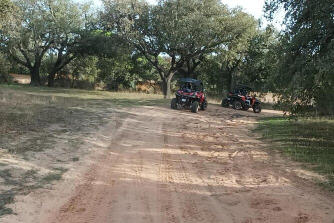 Albufeira 2 Hour Off-Road Tour Buggy Adventure Tour - Hosts Response